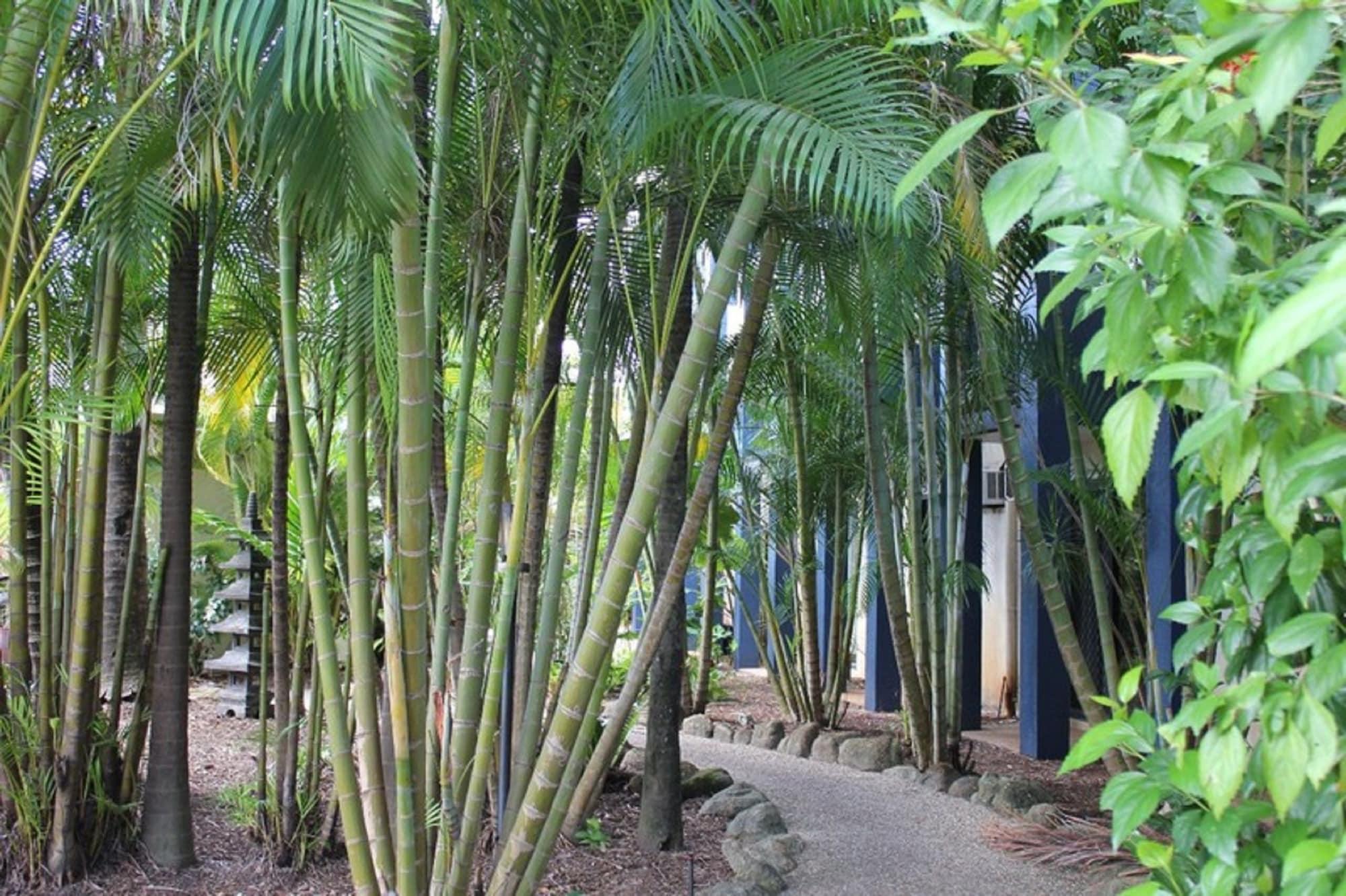 Bohemia Resort Cairns Exterior photo